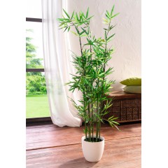 Декоративное растение "Бамбуковый куст", В 115 см
